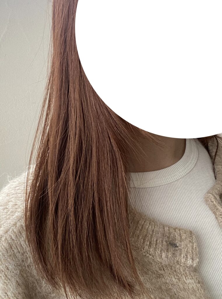 使用前の髪の画像。パサパサしている。
